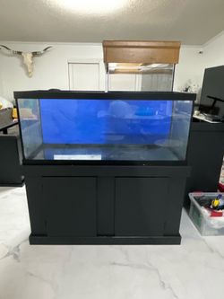Tank and stand 75 gallon