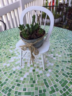 Small wood chair with succulent plants