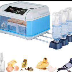 Incubator