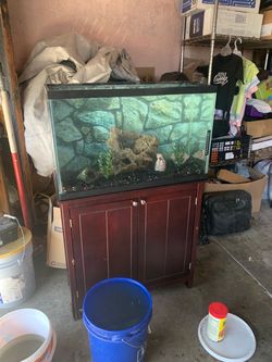30 Gallon Fish Tank Aquarium