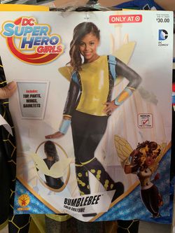 DC Super Hero Girls Halloween Costume