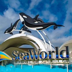 SeaWorld San Diego Tickets