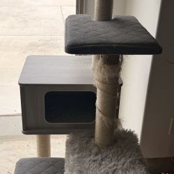 Cat Tower 