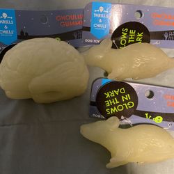 Glow In The Dark Dog Toys 
