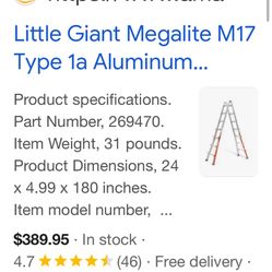 Little Giant Ladder 