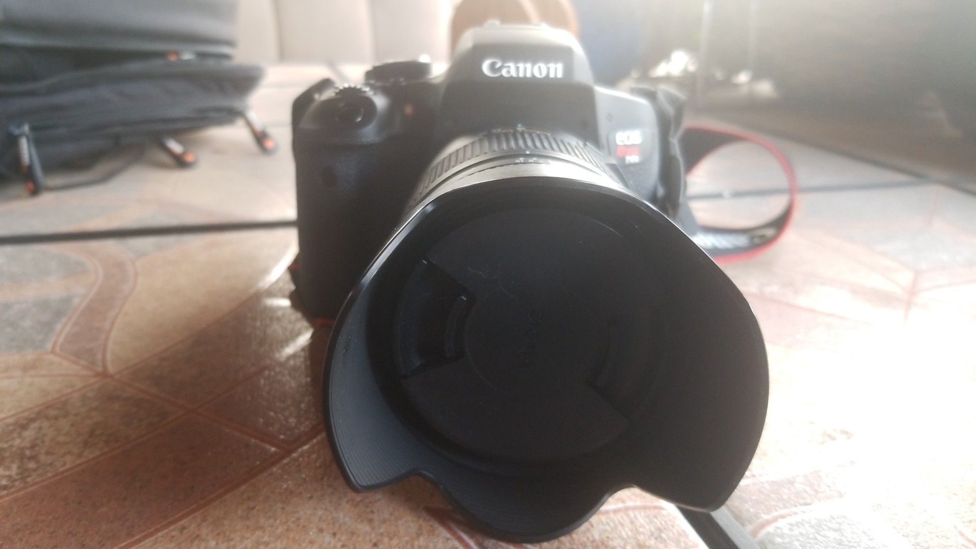 Canon T6i and Sigma 18-250mm lens