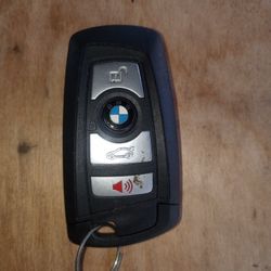 BMW Key & Fob Combo 