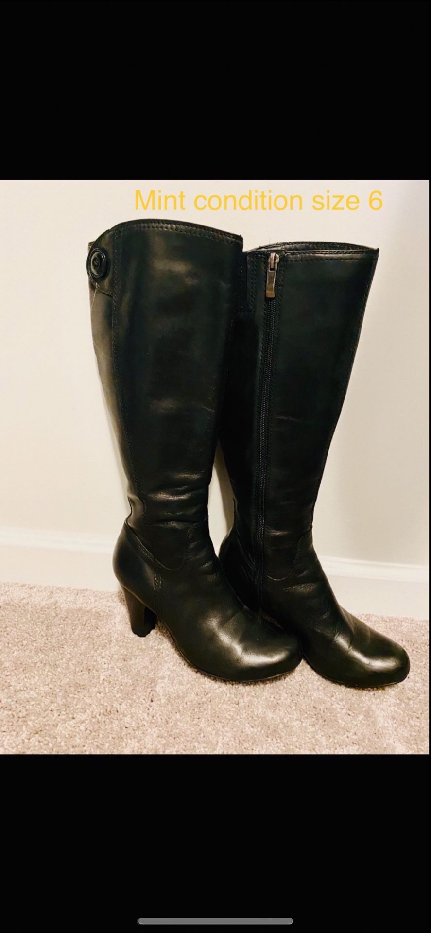 Size 6