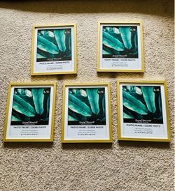 Set of 5 Gold 8x10 Picture Frames