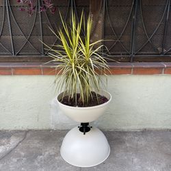 Modern Sculptural Metal Planter - Rotating Top, Matte Powdered Cream Finish