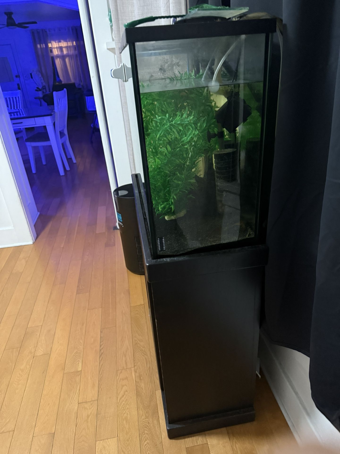 30. Gallon Tall  Fish Tank 