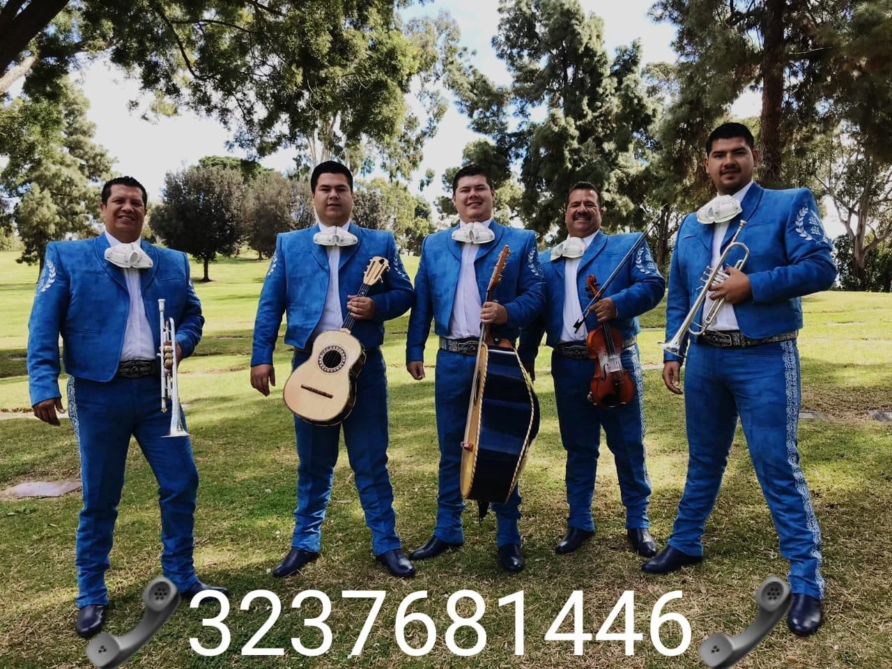 Vihuela Violín Mariachi