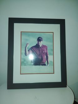 Tiger Woods
