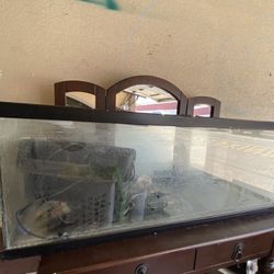 Fish Tank 14-15 Gallons 