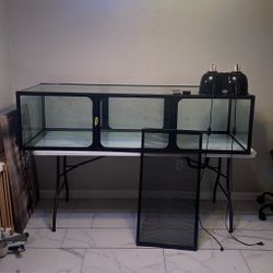 Reptile Terrarium/fish Tank 