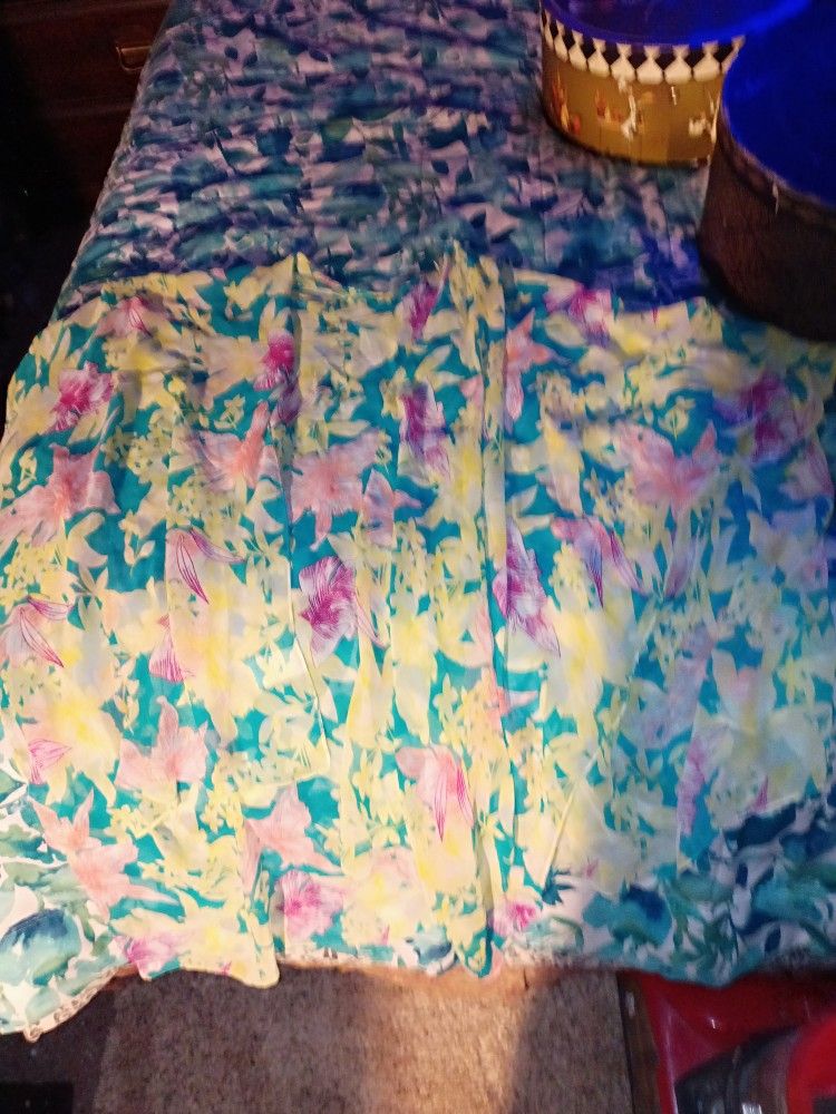 Lovely Sheer Scarf/Shawl