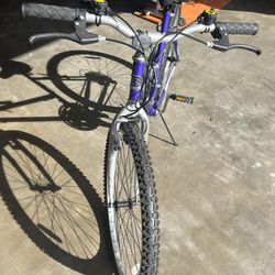 Brand New Purple Bike Just In Time For Summer!