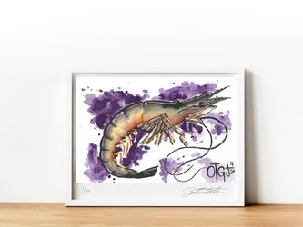 Shrimp water color painting print