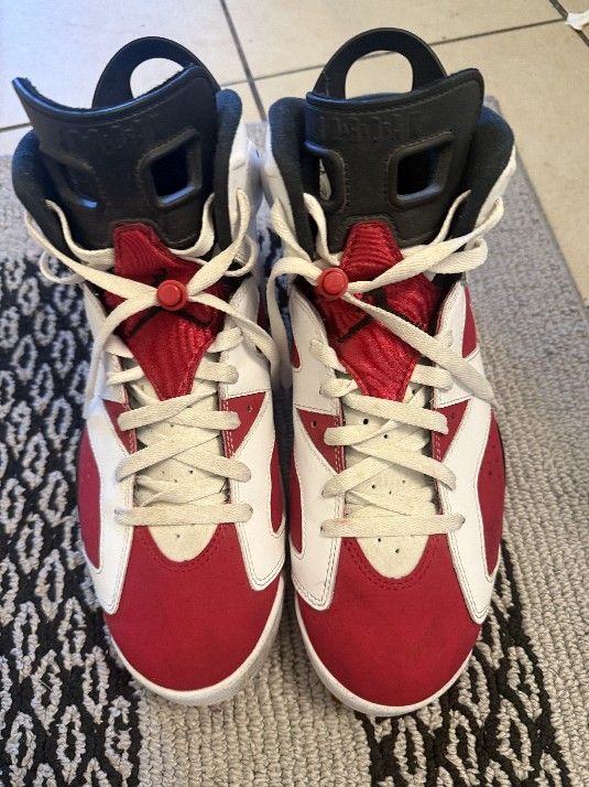 Jordan Carmine 6 Size 11