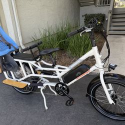 Electric Bike RadWagon 4