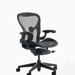 Herman Miller Ergo Office Chair (Typically $1600)