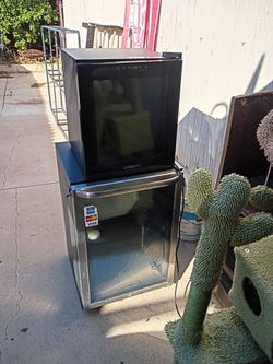 Mini fridge