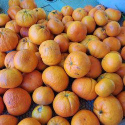 tangerine Orange 