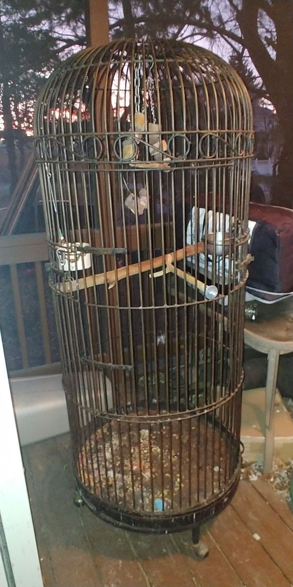 Large round black iron bird cage for Sale in Linthicum Heights, MD
