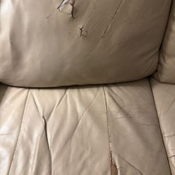 Need Leather Repaired On Couch