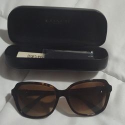 Coach Sun Glasses 