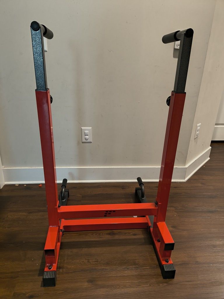 DIP STATION GYM WORKOUT $50