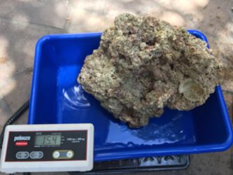 FIJI OCEAN SALTWATER ROCKS