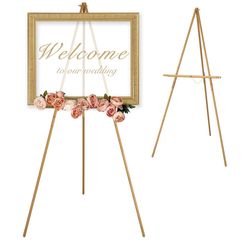 VISWIN Professional Field Easel