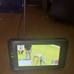 Pegasus Portable TV