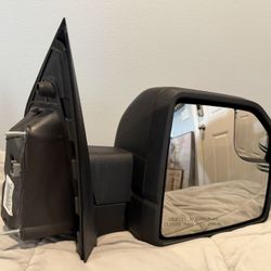 Ford F-150 Door Mirror