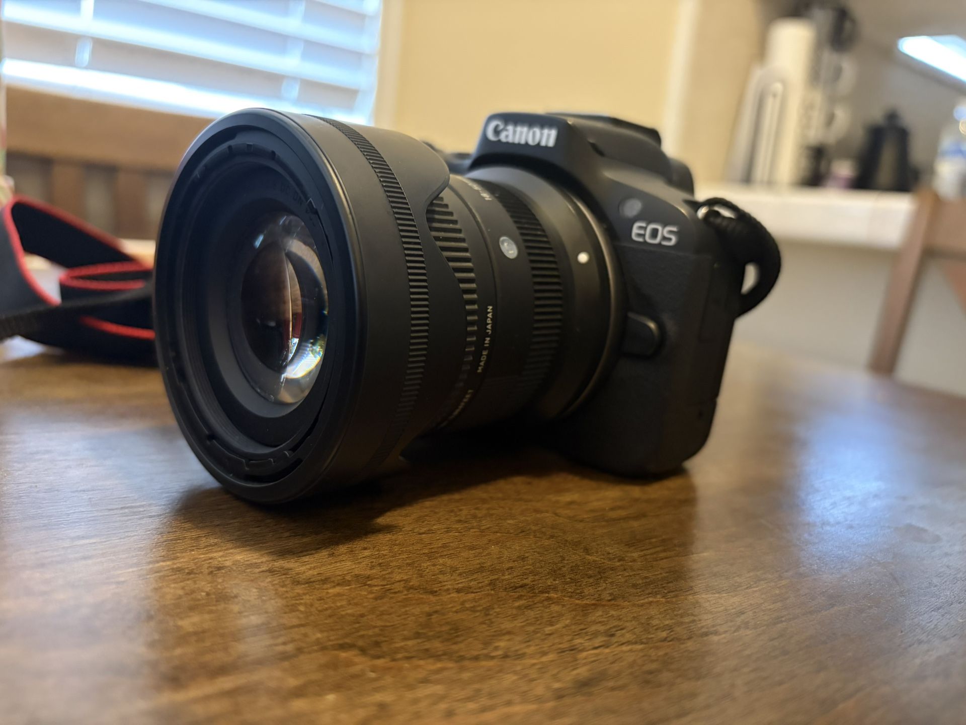 R50 CANON W/ SIGMA LENS