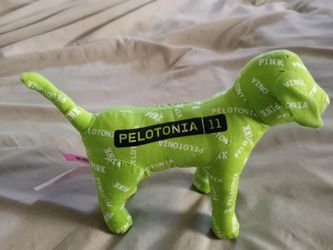 Victoria's Secret Pelotonia dog