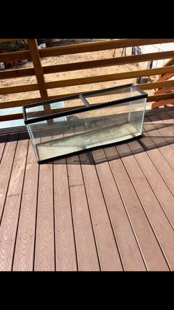 Aquarium 50 gallon tank in great shape $50 dollars
