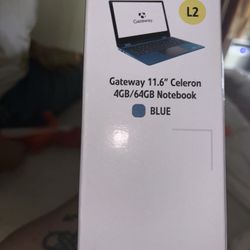 Gateway 11.6 Laptop