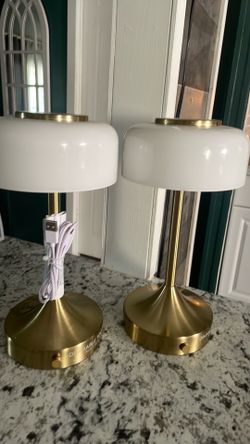 2 rechargeable lamps ( 1 usb cable included)