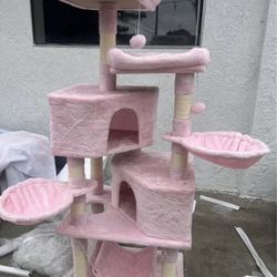Pink Cat House