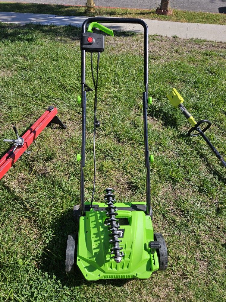 Swipesmith Dethatcher