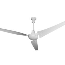 Ceiling Fan 60inch