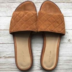 Ladies Ann Taylor Suede Slides