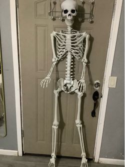 5.9FT Skeleton Halloween decoration