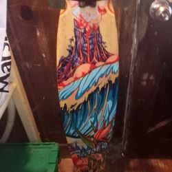 Sector 9 Long Board 🛹