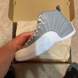 Jordan 12 Stealth Size 11 DS 