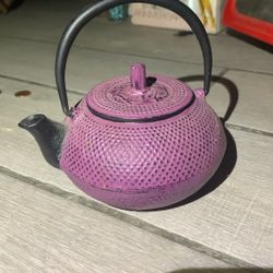 Cast Iron Tea Pot Nanbu Tekki 