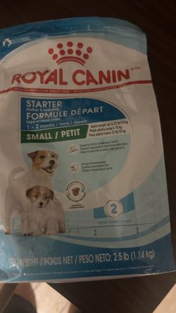 Royal King, Mother, And  Puppy 