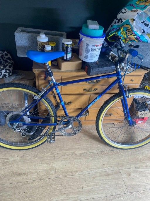 1983 Ross Classic Bike
